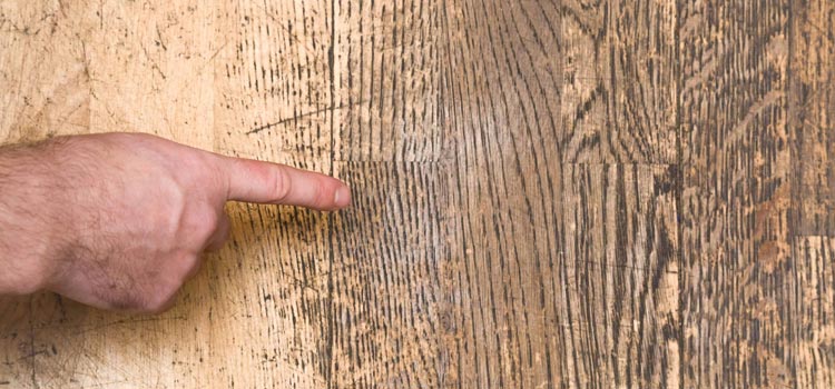 Wood Door Scratch Repair in Pleasanton